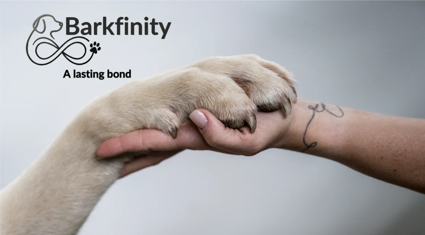 Barkfinity — A lasting bond