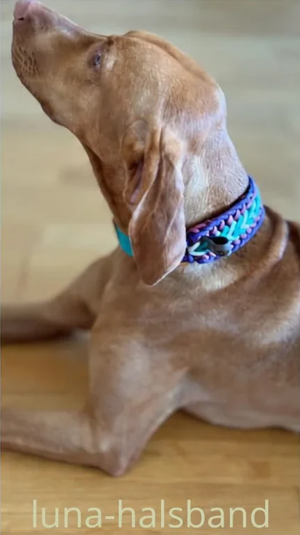 Barkfinity slide 3